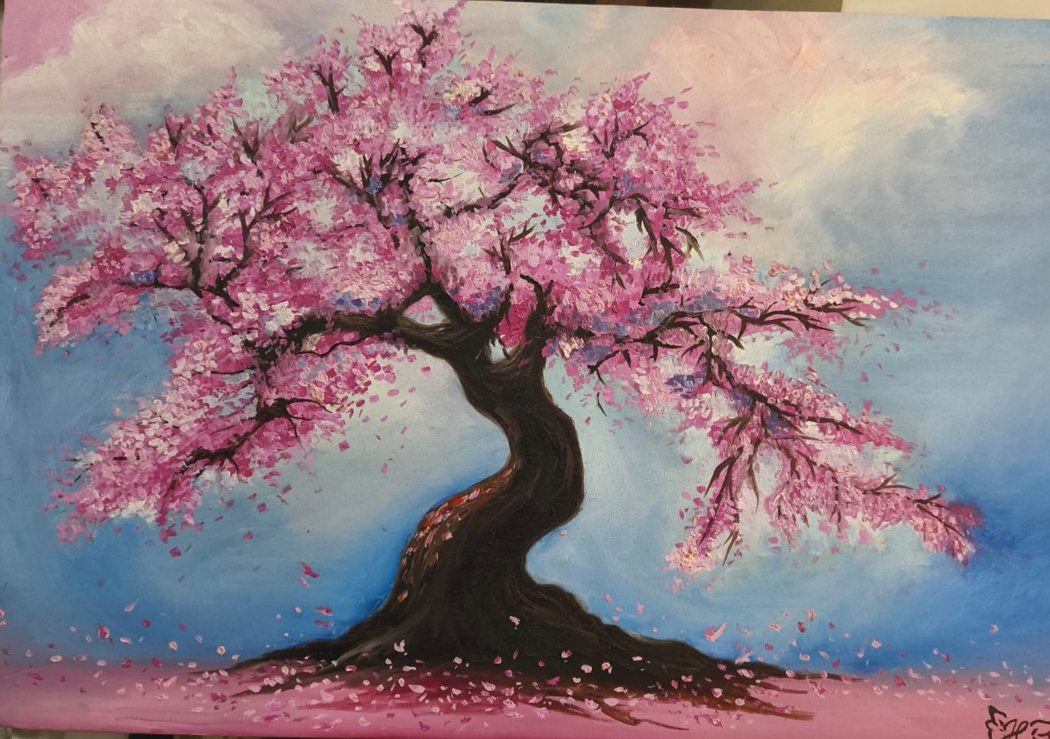 Cerejeira em flor, com pétalas rosa contra um céu azul e nuvens claras
